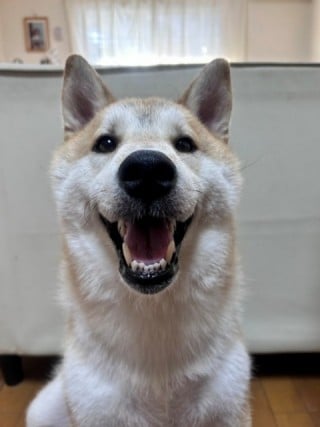 ご応募いただく皆様へ ご応募いただく皆様へ